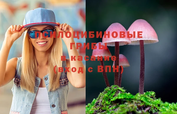 ешки Заводоуковск