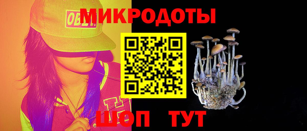 Галлюциногенные грибы Magic Shrooms Южно-Сахалинск
